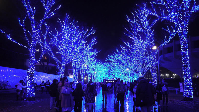 https://ipc.shiraume.ac.jp/2025/12/09/ph01.jpg