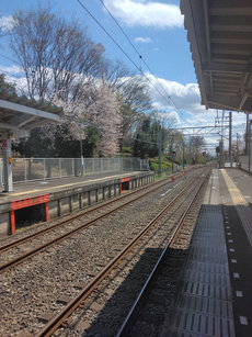 ph05.jpg